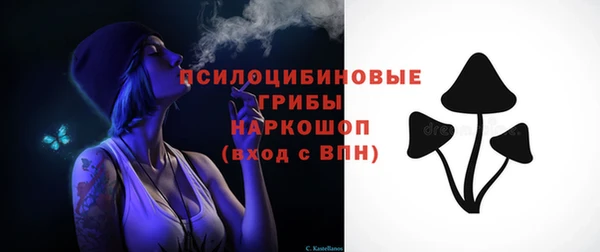круглые Белокуриха
