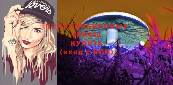 ECSTASY Белоозёрский