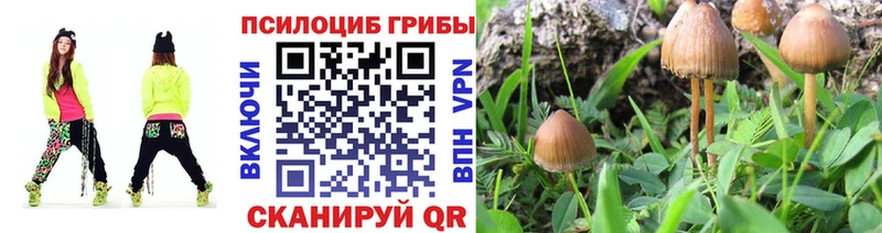 Псилоцибиновые грибы мицелий  MEGA   Билибино 